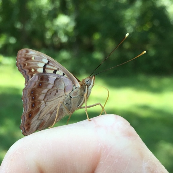 Meet your Posher, Mary - Picture 10 of 16